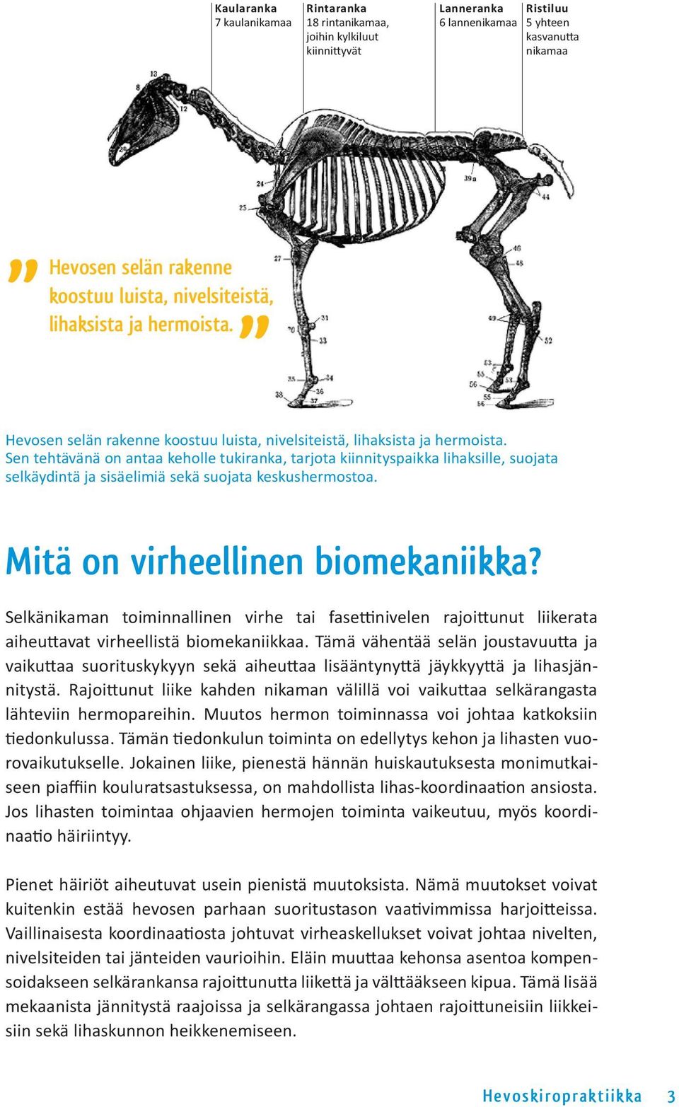 Sen tehtävänä on antaa keholle tukiranka, tarjota kiinnityspaikka lihaksille, suojata selkäydintä ja sisäelimiä sekä suojata keskushermostoa. Mitä on virheellinen biomekaniikka?