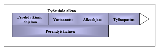 27 ty perusteellisesti tutustua ennen perehdyttämisen tärkeimmän osa-alueen suorittamista. (Mesiäinen 2007, 28 29; Kangas & Hämäläinen 2007, 13.) Kuvio 5.