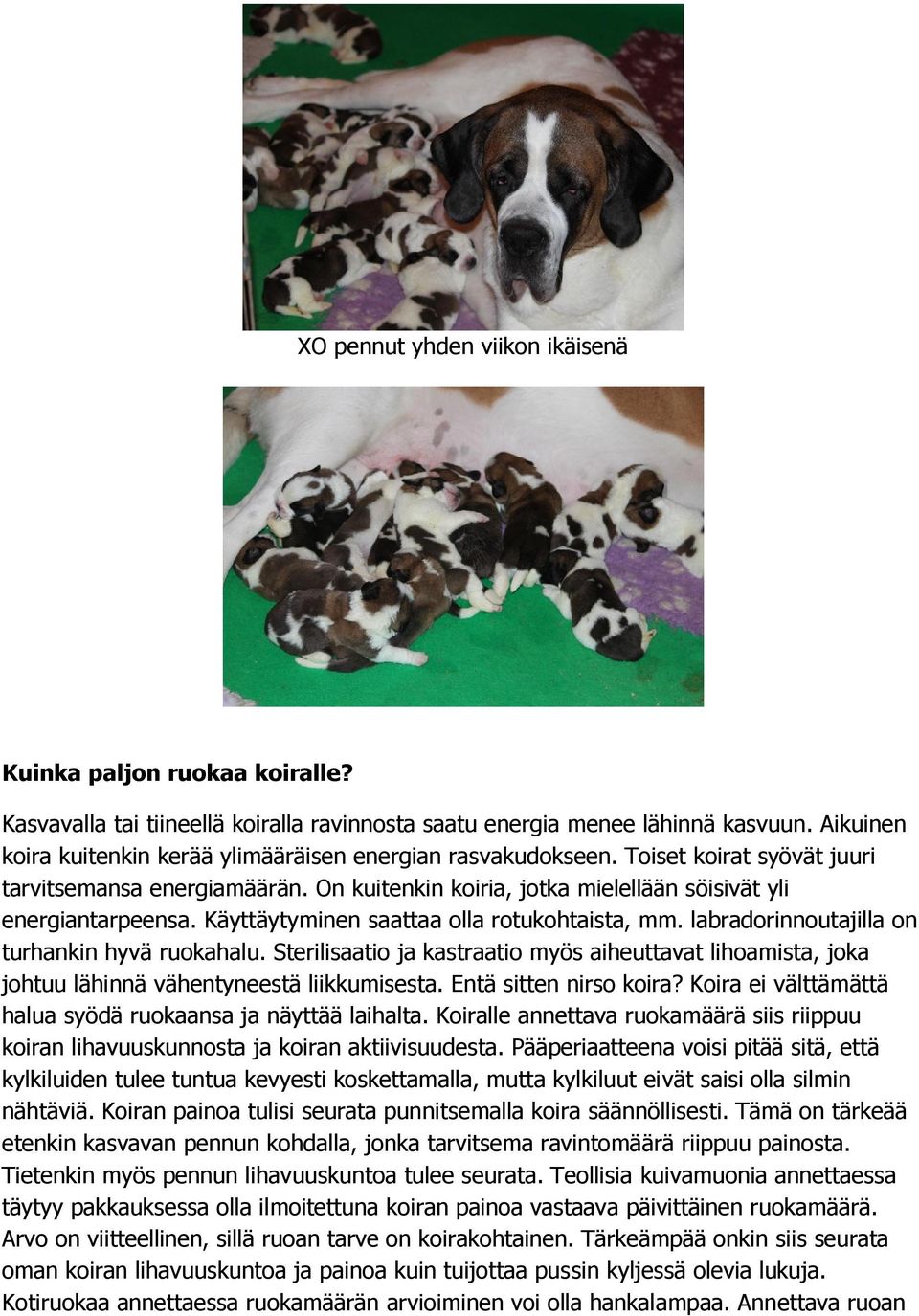 Käyttäytyminen saattaa olla rotukohtaista, mm. labradorinnoutajilla on turhankin hyvä ruokahalu.
