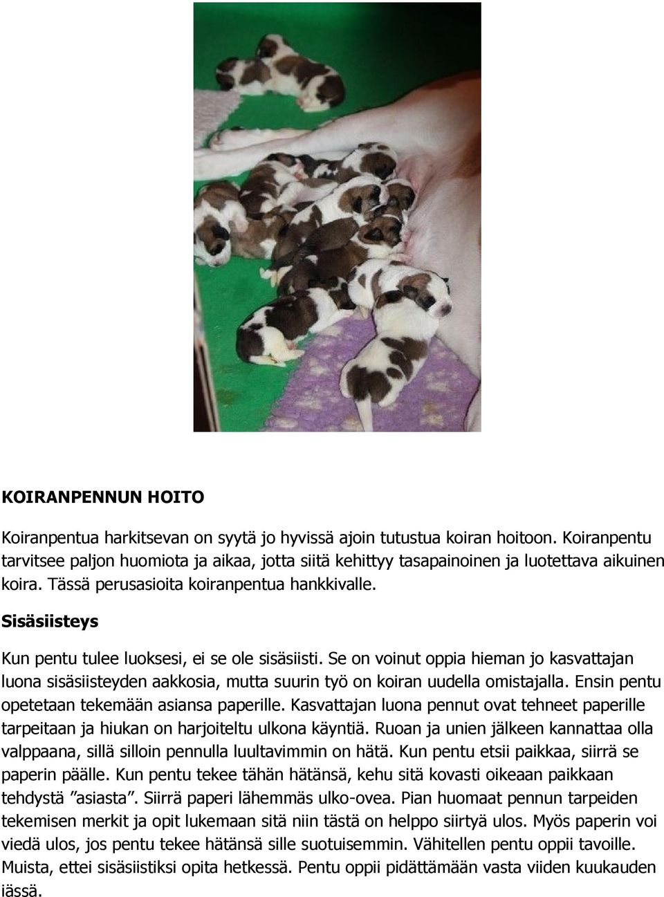 Sisäsiisteys Kun pentu tulee luoksesi, ei se ole sisäsiisti. Se on voinut oppia hieman jo kasvattajan luona sisäsiisteyden aakkosia, mutta suurin työ on koiran uudella omistajalla.