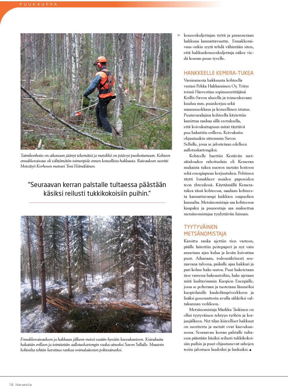 Raivauksen suoritti Metsätyö Korhosen metsuri Toni Hämäläinen. Seuraavan kerran palstalle tultaessa päästään käsiksi reilusti tukkikokoisiin puihin.