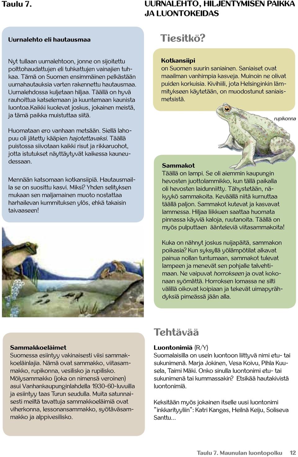 kaikki kuolevat joskus, jokainen meistä, ja tämä paikka muistuttaa siitä. Huomataan ero vanhaan metsään. Siellä lahopuu oli jätetty kääpien hajotettavaksi.