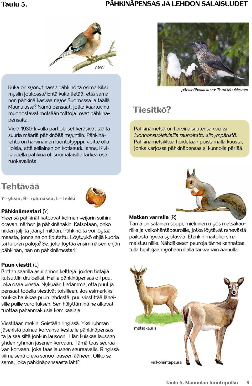 Pähkinälehto on harvinainen luontotyyppi, voitte olla iloisia, että sellainen on kotiseudullanne. Kivikaudella pähkinä oli suomalaisille tärkeä osa ruokavaliota.