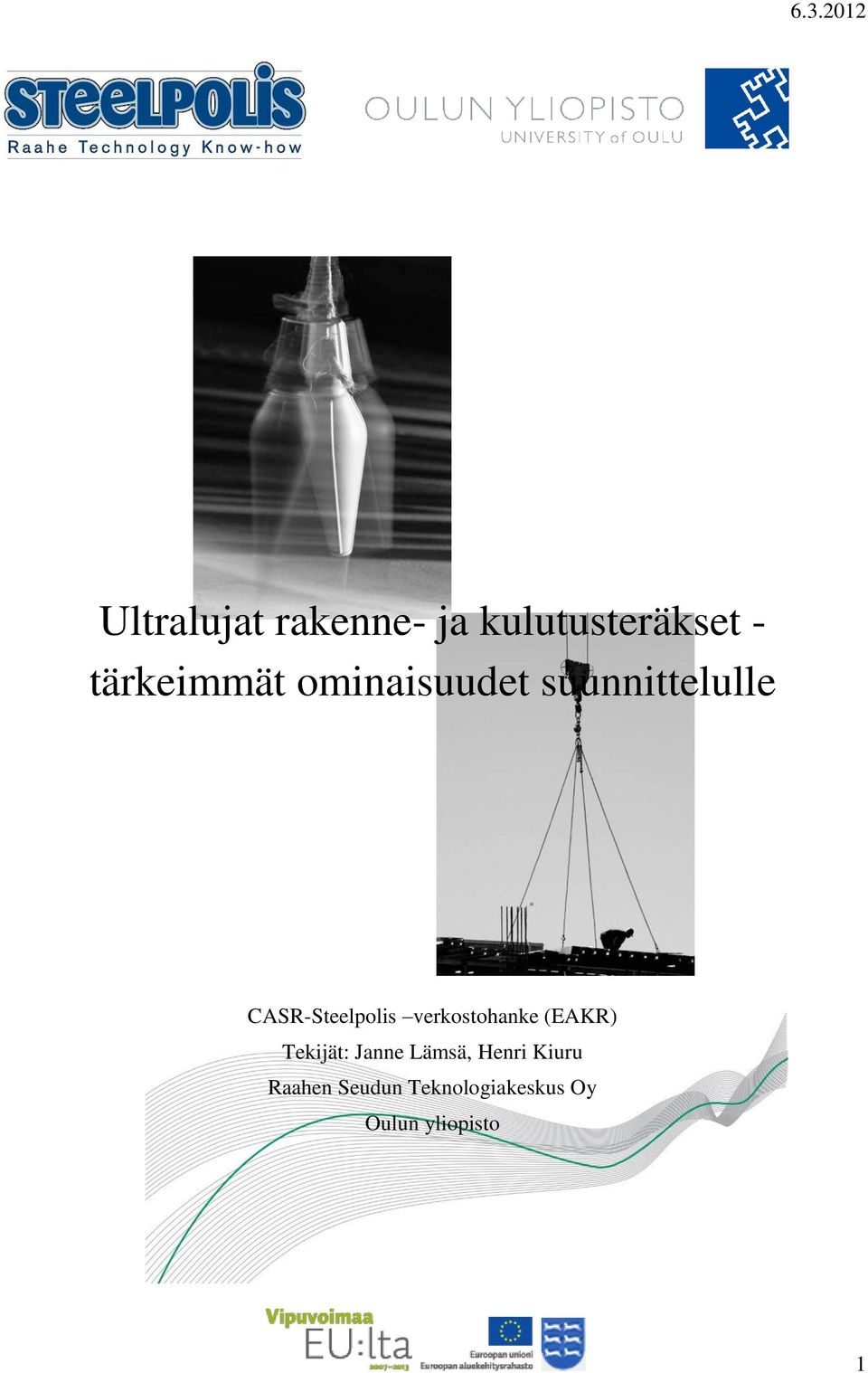 CASR-Steelpolis verkostohanke (EAKR) Tekijät: