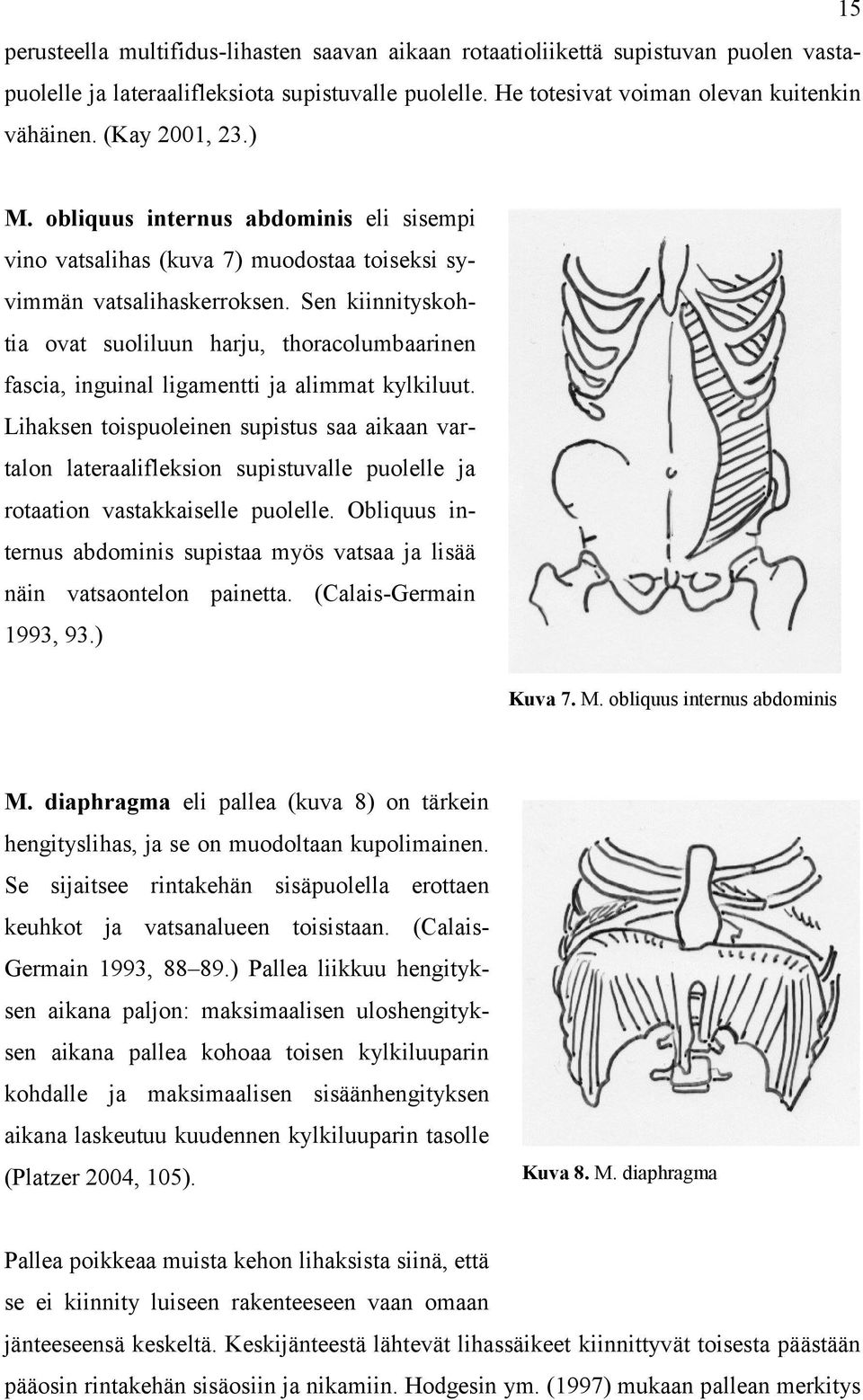 Sen kiinnityskohtia ovat suoliluun harju, thoracolumbaarinen fascia, inguinal ligamentti ja alimmat kylkiluut.