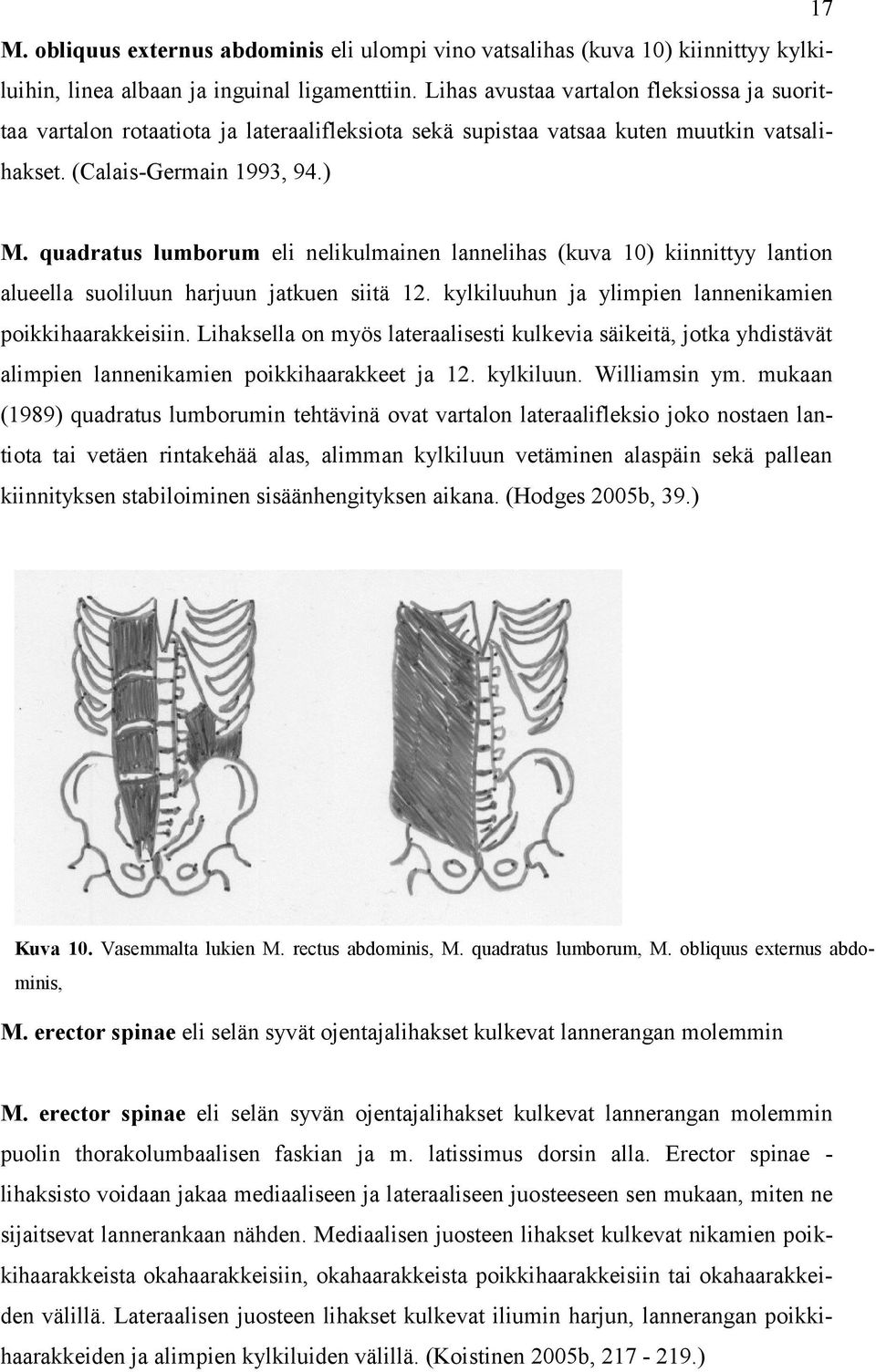 quadratus lumborum eli nelikulmainen lannelihas (kuva 10) kiinnittyy lantion alueella suoliluun harjuun jatkuen siitä 12. kylkiluuhun ja ylimpien lannenikamien poikkihaarakkeisiin.