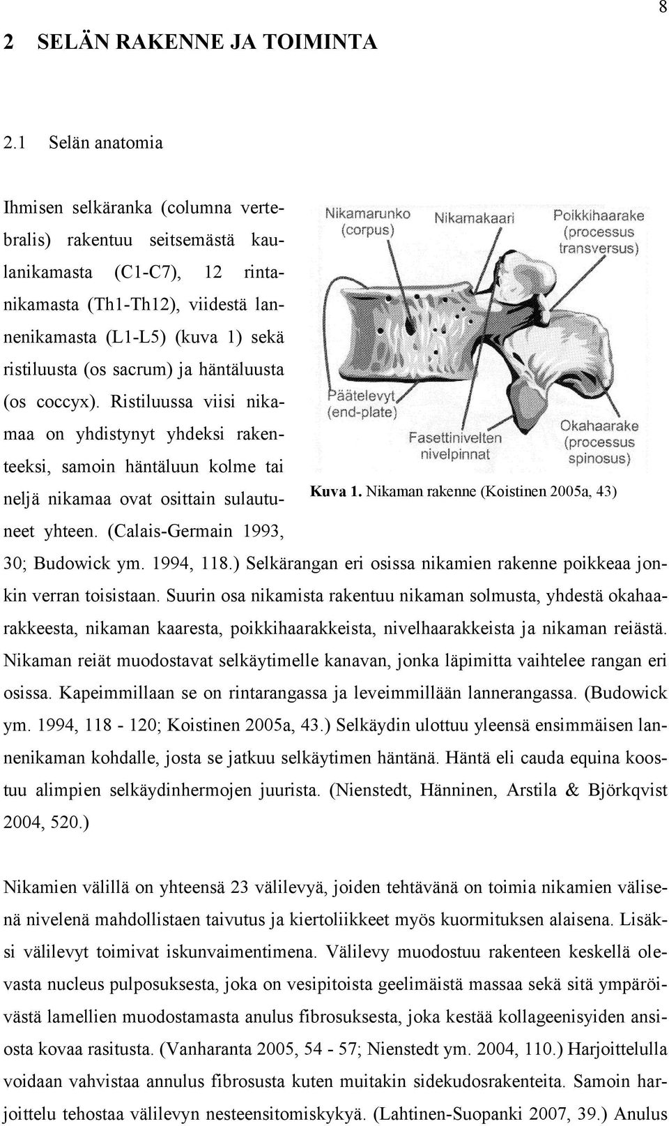 sacrum) ja häntäluusta (os coccyx). Ristiluussa viisi nikamaa on yhdistynyt yhdeksi rakenteeksi, samoin häntäluun kolme tai neljä nikamaa ovat osittain sulautuneet yhteen.