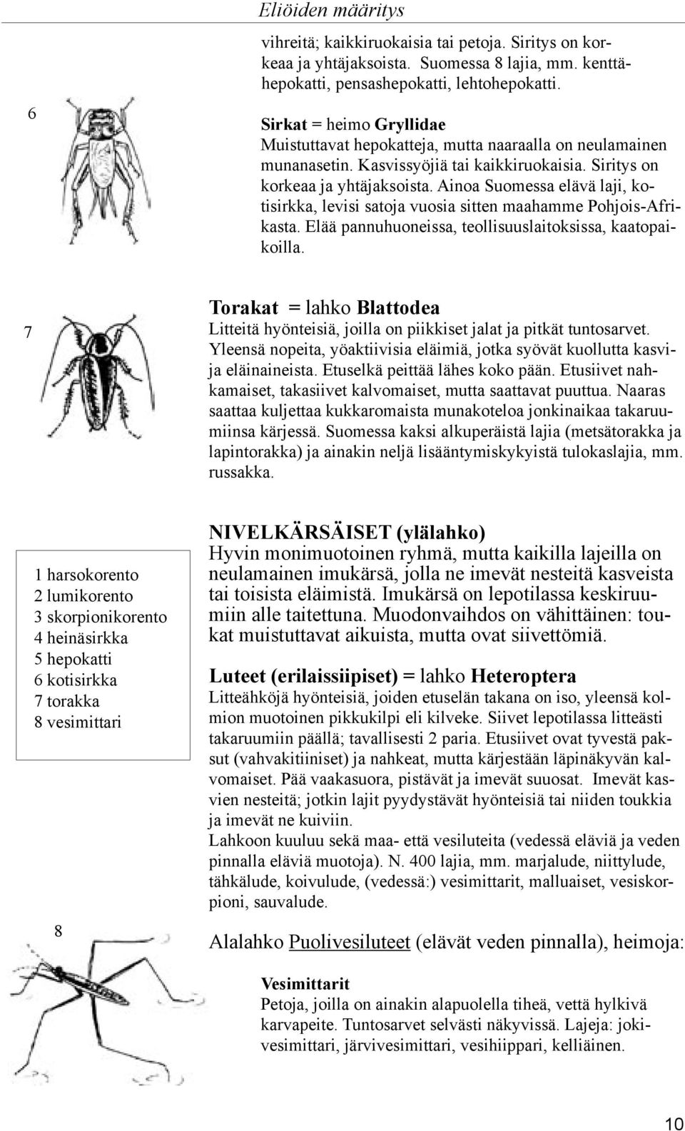 Ainoa Suomessa elävä laji, kotisirkka, levisi satoja vuosia sitten maahamme Pohjois-Afrikasta. Elää pannuhuoneissa, teollisuuslaitoksissa, kaatopaikoilla.