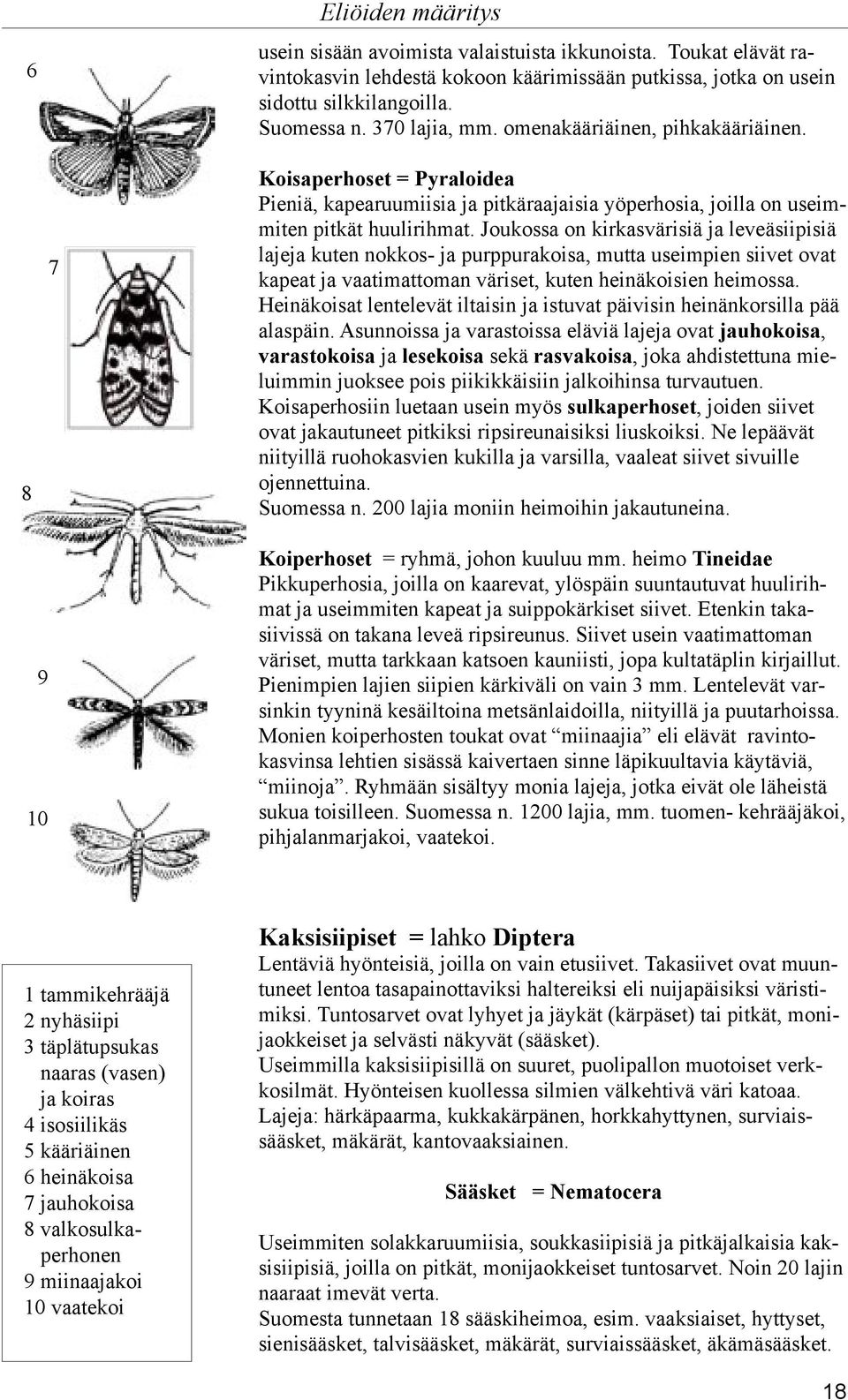 Joukossa on kirkasvärisiä ja leveäsiipisiä lajeja kuten nokkos- ja purppurakoisa, mutta useimpien siivet ovat kapeat ja vaatimattoman väriset, kuten heinäkoisien heimossa.