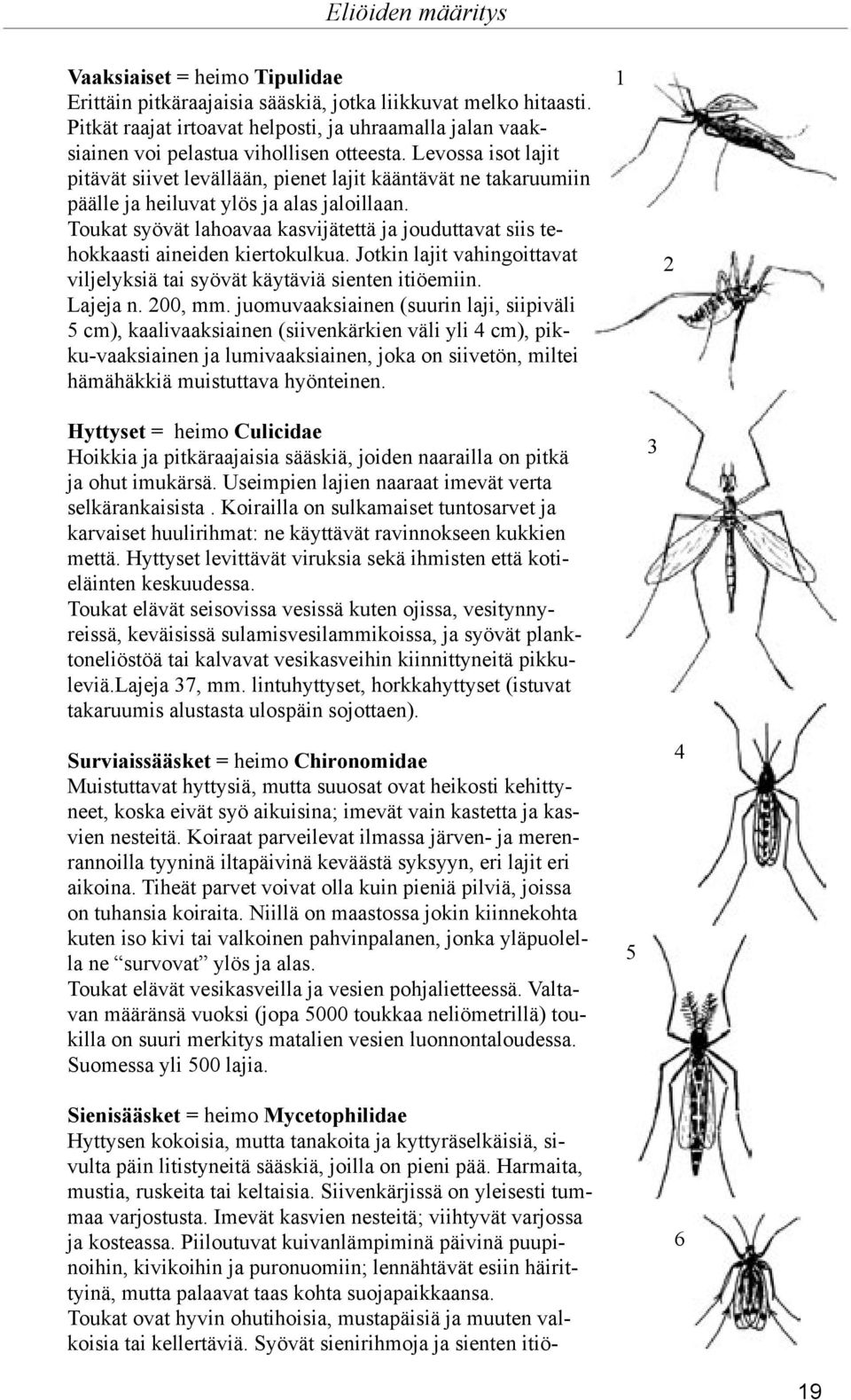 Toukat syövät lahoavaa kasvijätettä ja jouduttavat siis tehokkaasti aineiden kiertokulkua. Jotkin lajit vahingoittavat viljelyksiä tai syövät käytäviä sienten itiöemiin. Lajeja n. 00, mm.