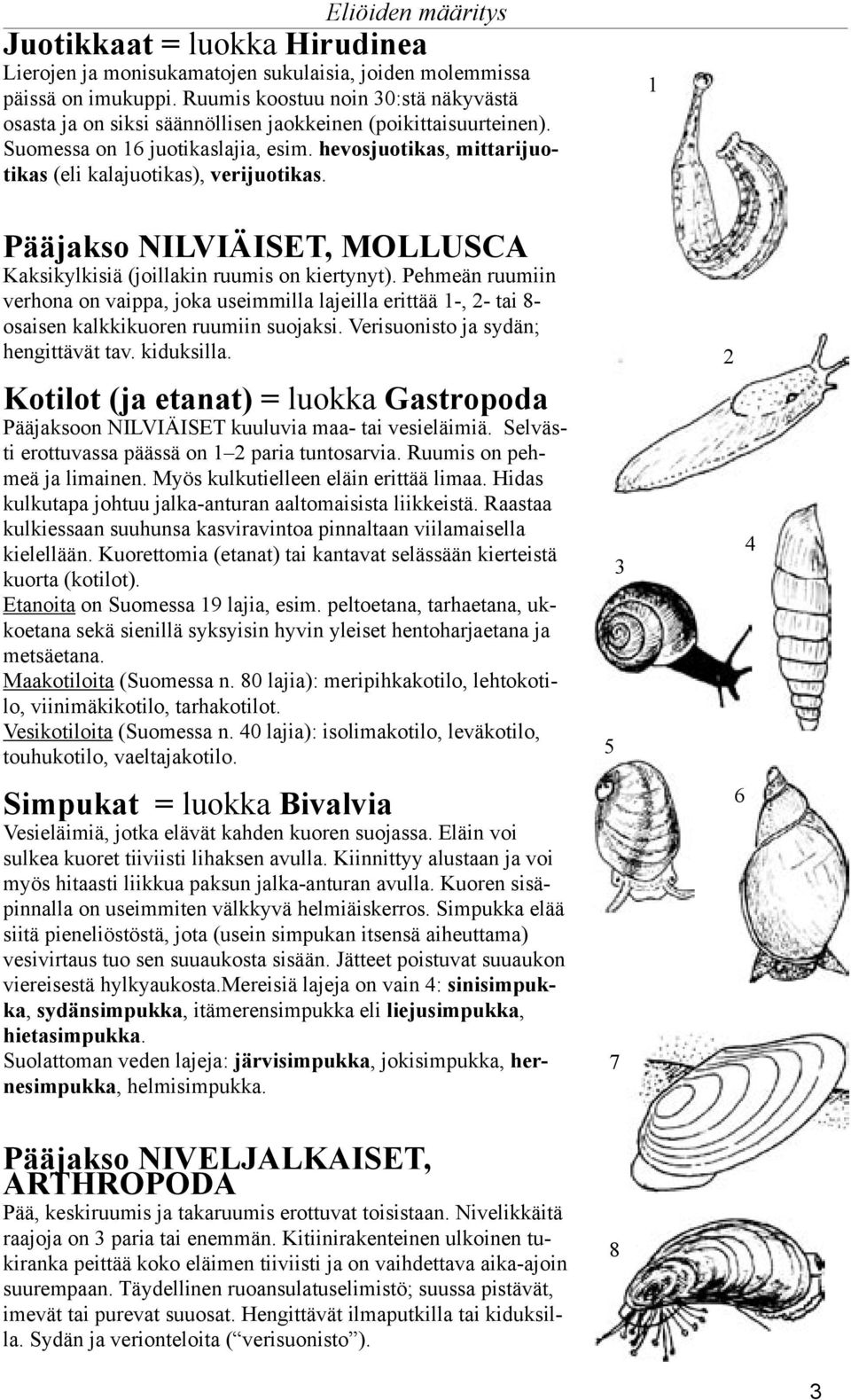 hevosjuotikas, mittarijuotikas (eli kalajuotikas), verijuotikas. Pääjakso NILVIÄISET, MOLLUSCA Kaksikylkisiä (joillakin ruumis on kiertynyt).