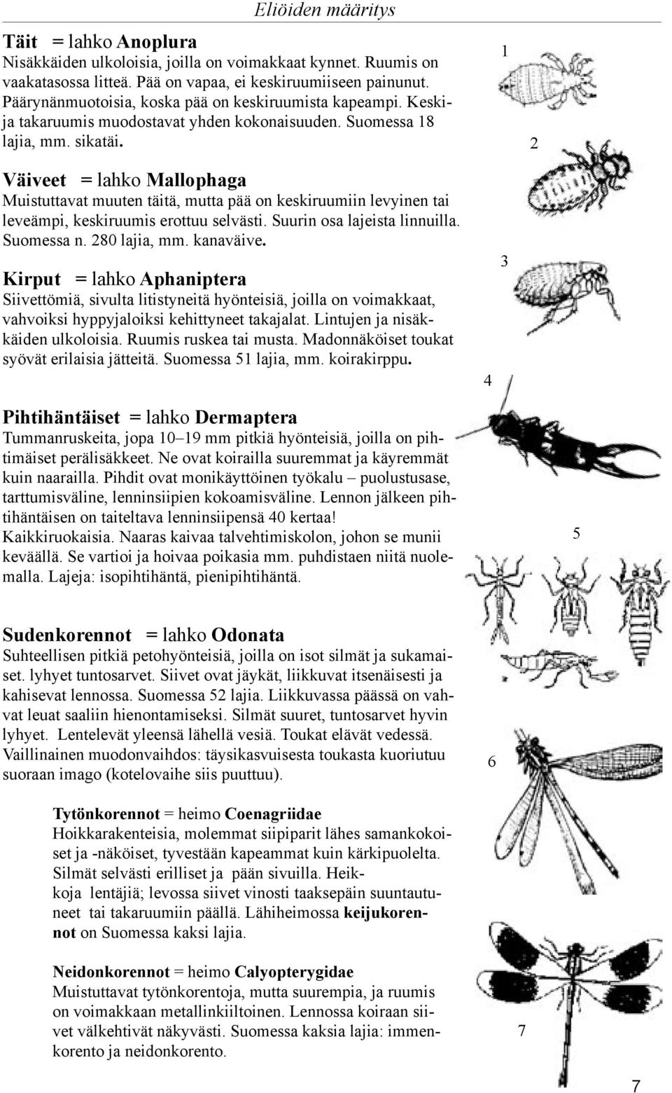 Väiveet = lahko Mallophaga Muistuttavat muuten täitä, mutta pää on keskiruumiin levyinen tai leveämpi, keskiruumis erottuu selvästi. Suurin osa lajeista linnuilla. Suomessa n. 80 lajia, mm. kanaväive.