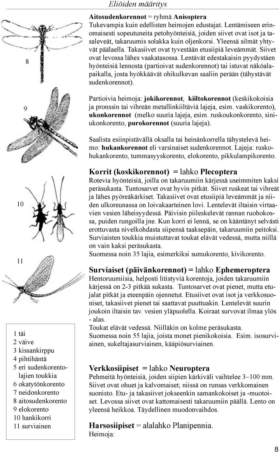 Takasiivet ovat tyvestään etusiipiä leveämmät. Siivet ovat levossa lähes vaakatasossa.