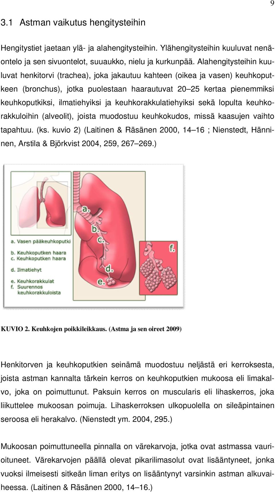 ja keuhkorakkulatiehyiksi sekä lopulta keuhkorakkuloihin (alveolit), joista muodostuu keuhkokudos, missä kaasujen vaihto tapahtuu. (ks.