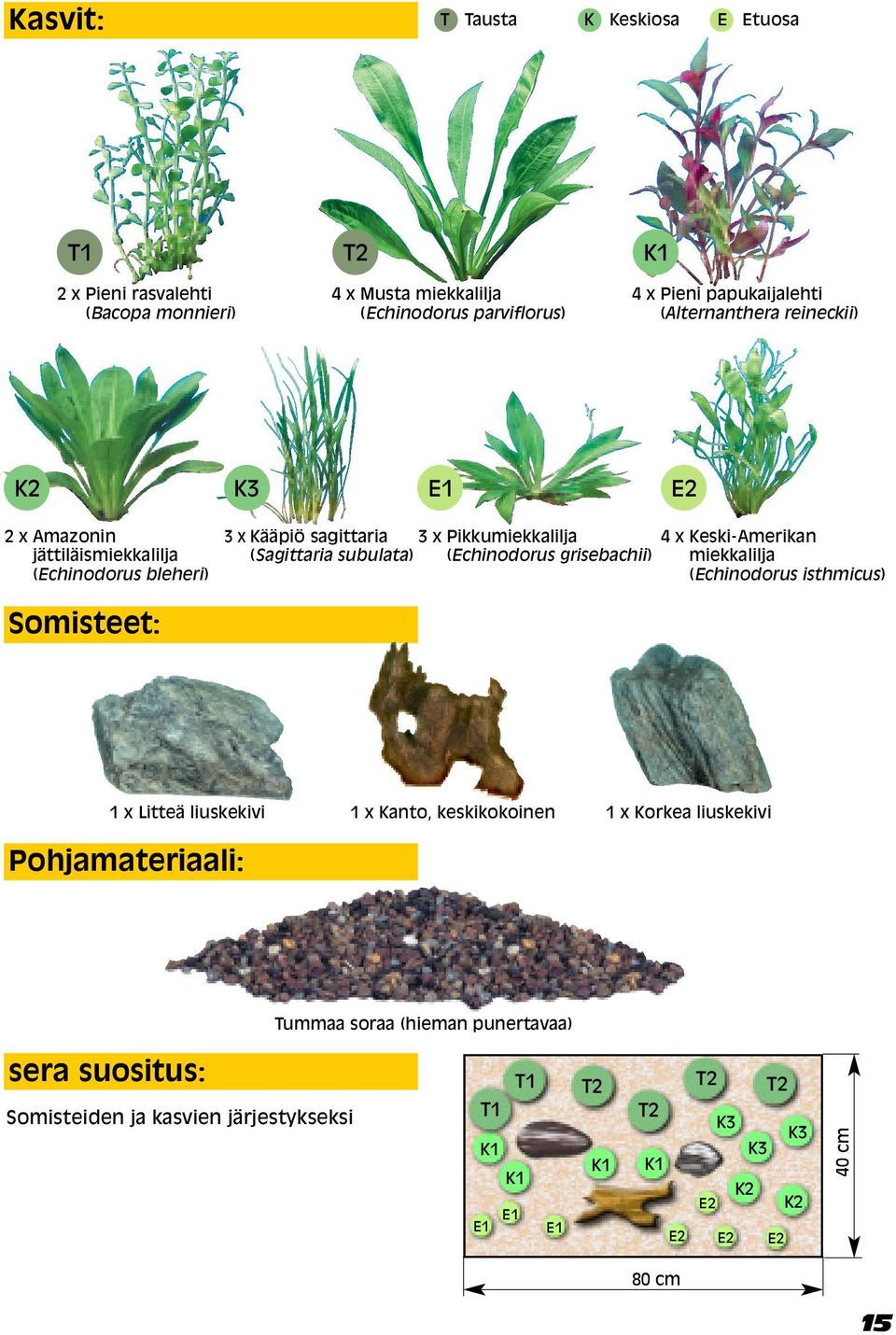 Keski-Amerikan (Echinodorus grisebachii) miekkalilja (Echinodorus isthmicus) Somisteet: 1 x Litteä liuskekivi 1 x Kanto, keskikokoinen 1 x Korkea liuskekivi