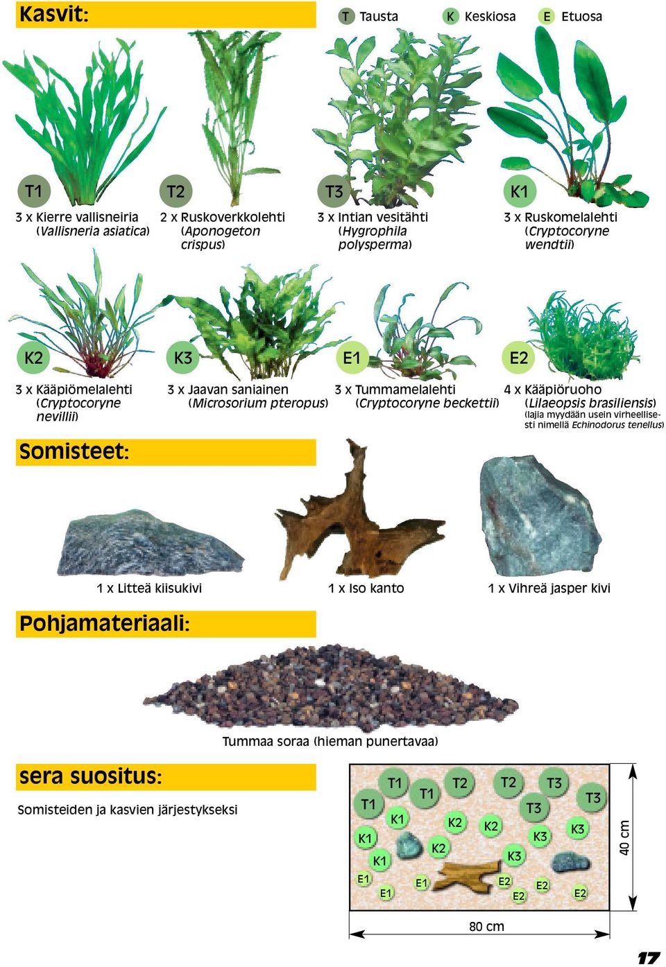 Kääpiöruoho (Cryptocoryne beckettii) (Lilaeopsis brasiliensis) (lajia myydään usein virheellisesti nimellä Echinodorus tenellus) 1 x Litteä kiisukivi Pohjamateriaali: 1 x Iso kanto 1