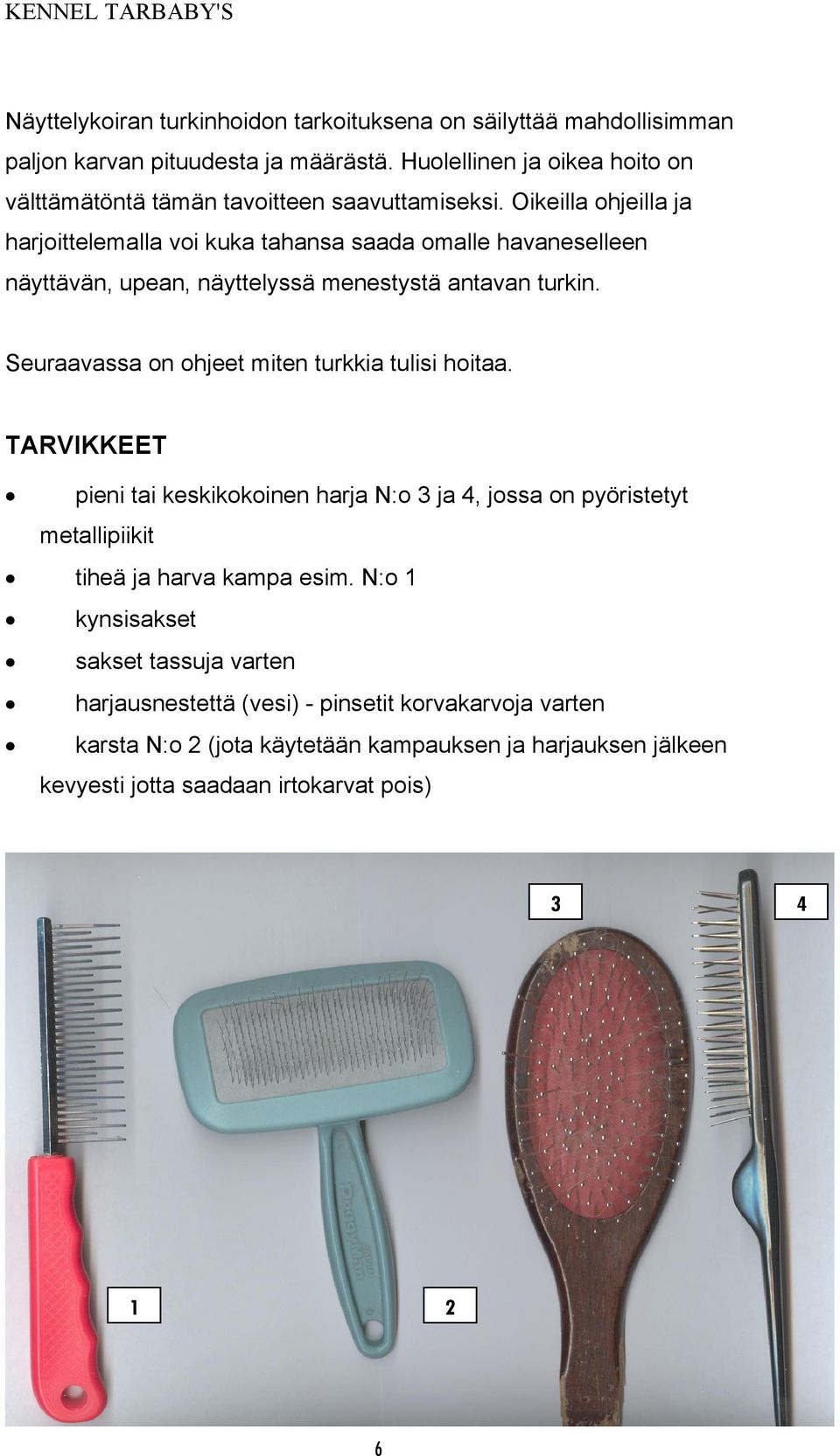 Oikeilla ohjeilla ja harjoittelemalla voi kuka tahansa saada omalle havaneselleen näyttävän, upean, näyttelyssä menestystä antavan turkin.