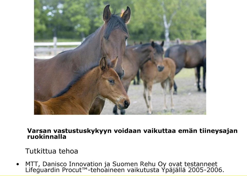 Danisco Innovation ja Suomen Rehu Oy ovat