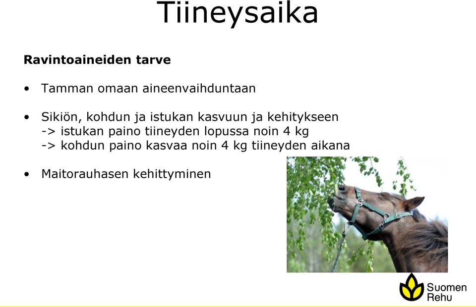 kehitykseen -> istukan paino tiineyden lopussa noin 4 kg