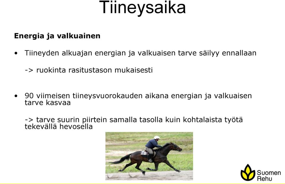 viimeisen tiineysvuorokauden aikana energian ja valkuaisen tarve kasvaa