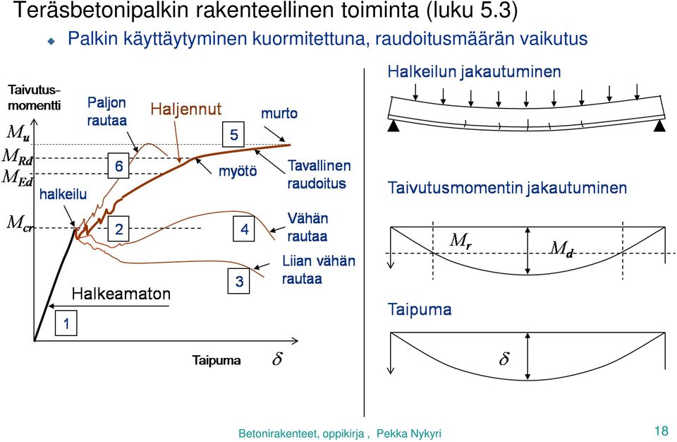 5.3) Palkin käyttäytyminen