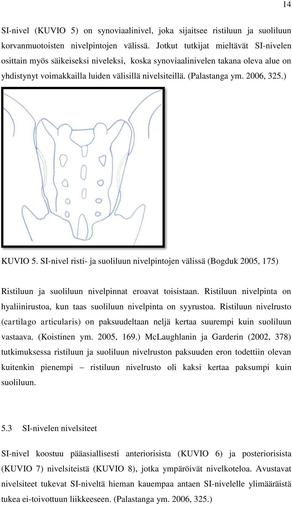 2006, 325.) KUVIO 5. SI-nivel risti- ja suoliluun nivelpintojen välissä (Bogduk 2005, 175) Ristiluun ja suoliluun nivelpinnat eroavat toisistaan.