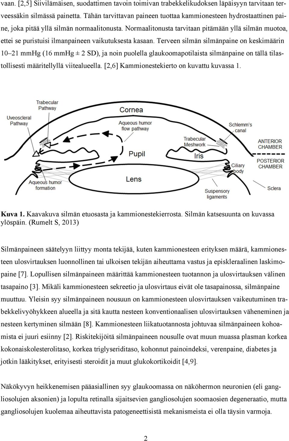 Normaalitonusta tarvitaan pitämään yllä silmän muotoa, ettei se puristuisi ilmanpaineen vaikutuksesta kasaan.