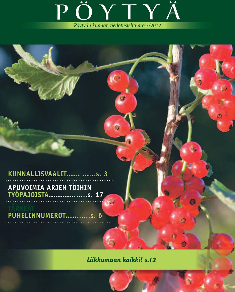 3 APUVOIMIA ARJEN TÖIHIN TYÖPAJOISTA...s.