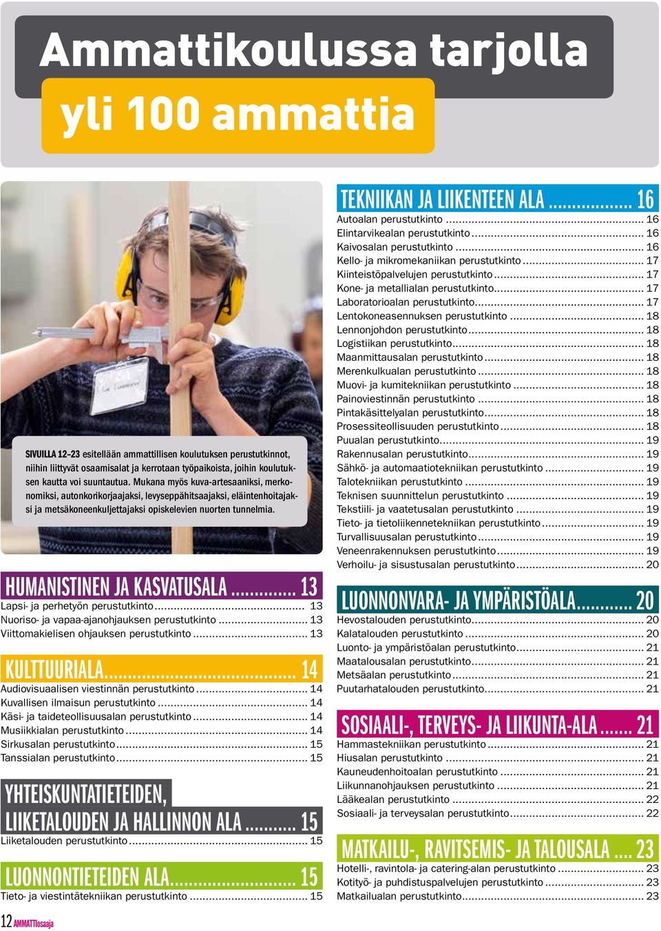 HUMANISTINEN JA KASVATUSALA... 13. Lapsi- ja perhetyön perustutkinto... 13 Nuoriso- ja vapaa-ajanohjauksen perustutkinto... 13 Viittomakielisen ohjauksen perustutkinto... 13 KULTTUURIALA... 14.