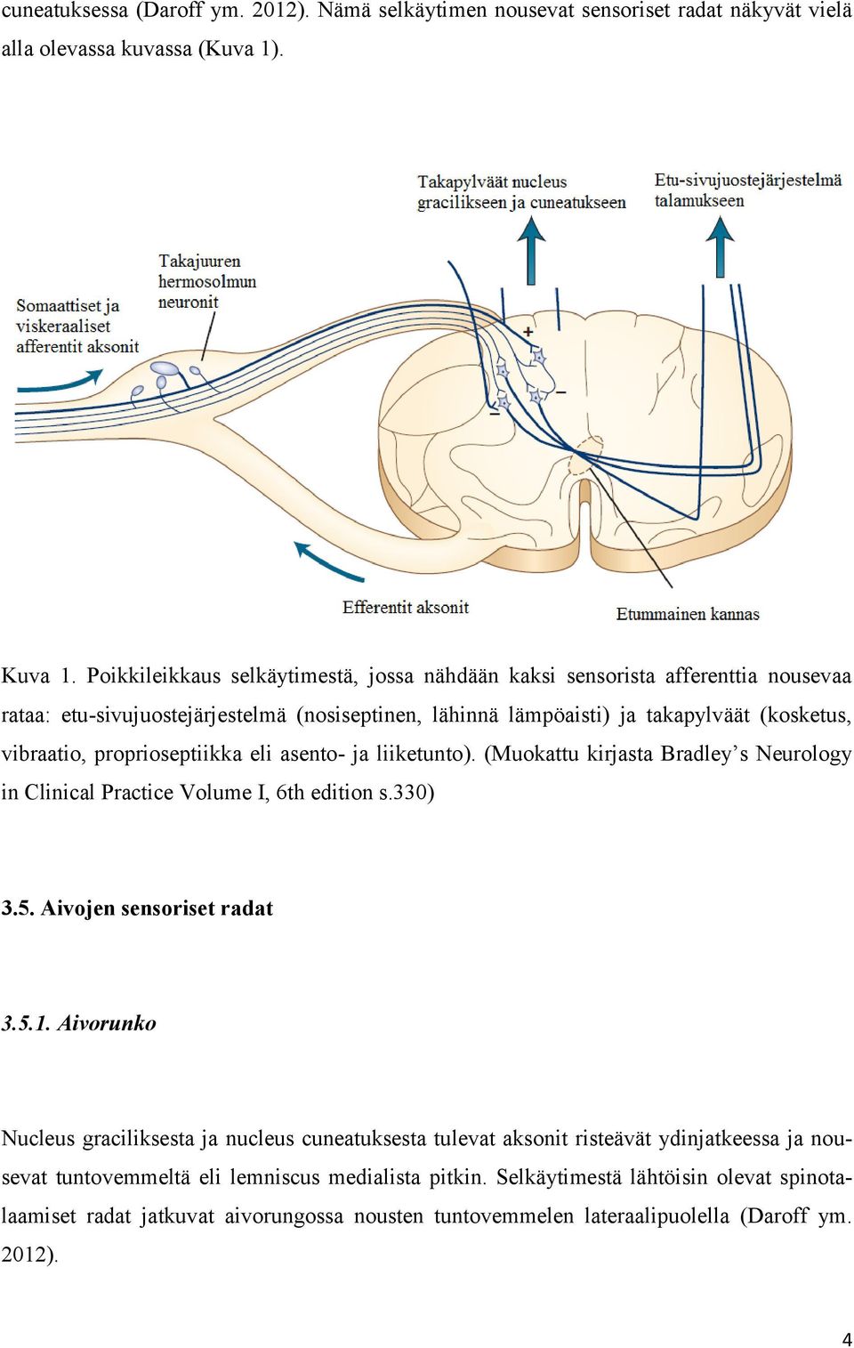 proprioseptiikka eli asento- ja liiketunto). (Muokattu kirjasta Bradley s Neurology in Clinical Practice Volume I, 6th edition s.330) 3.5. Aivojen sensoriset radat 3.5.1.