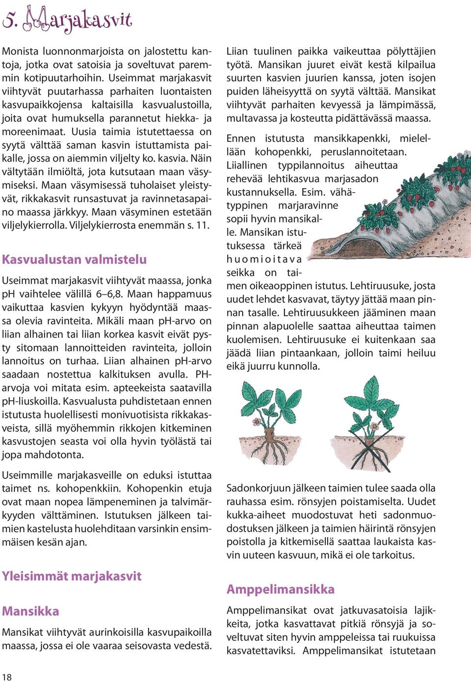 Uusia taimia istutettaessa on syytä välttää saman kasvin istuttamista paikalle, jossa on aiemmin viljelty ko. kasvia. Näin vältytään ilmiöltä, jota kutsutaan maan väsymiseksi.