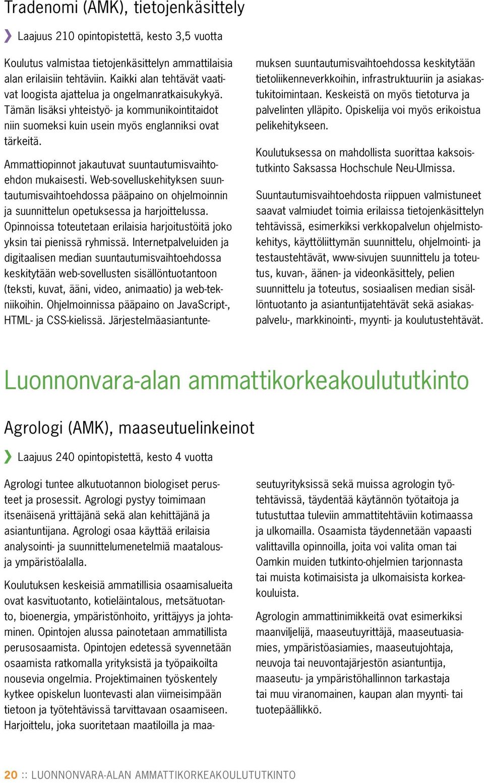 Ammattiopinnot jakautuvat suuntautumisvaihtoehdon mukaisesti. Web-sovelluskehityksen suuntautumisvaihtoehdossa pääpaino on ohjelmoinnin ja suunnittelun opetuksessa ja harjoittelussa.