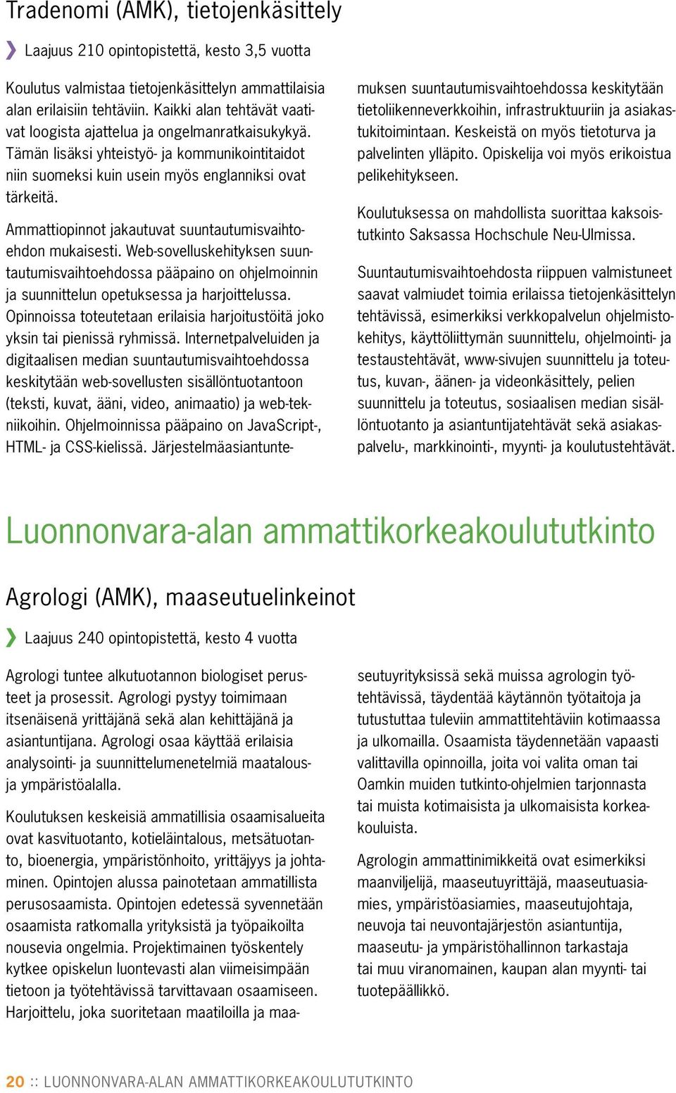 Ammattiopinnot jakautuvat suuntautumisvaihtoehdon mukaisesti. Web-sovelluskehityksen suuntautumisvaihtoehdossa pääpaino on ohjelmoinnin ja suunnittelun opetuksessa ja harjoittelussa.