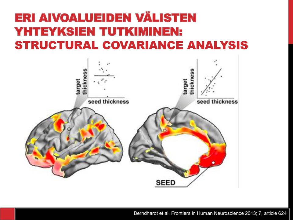 ANALYSIS Berndhardt et al.