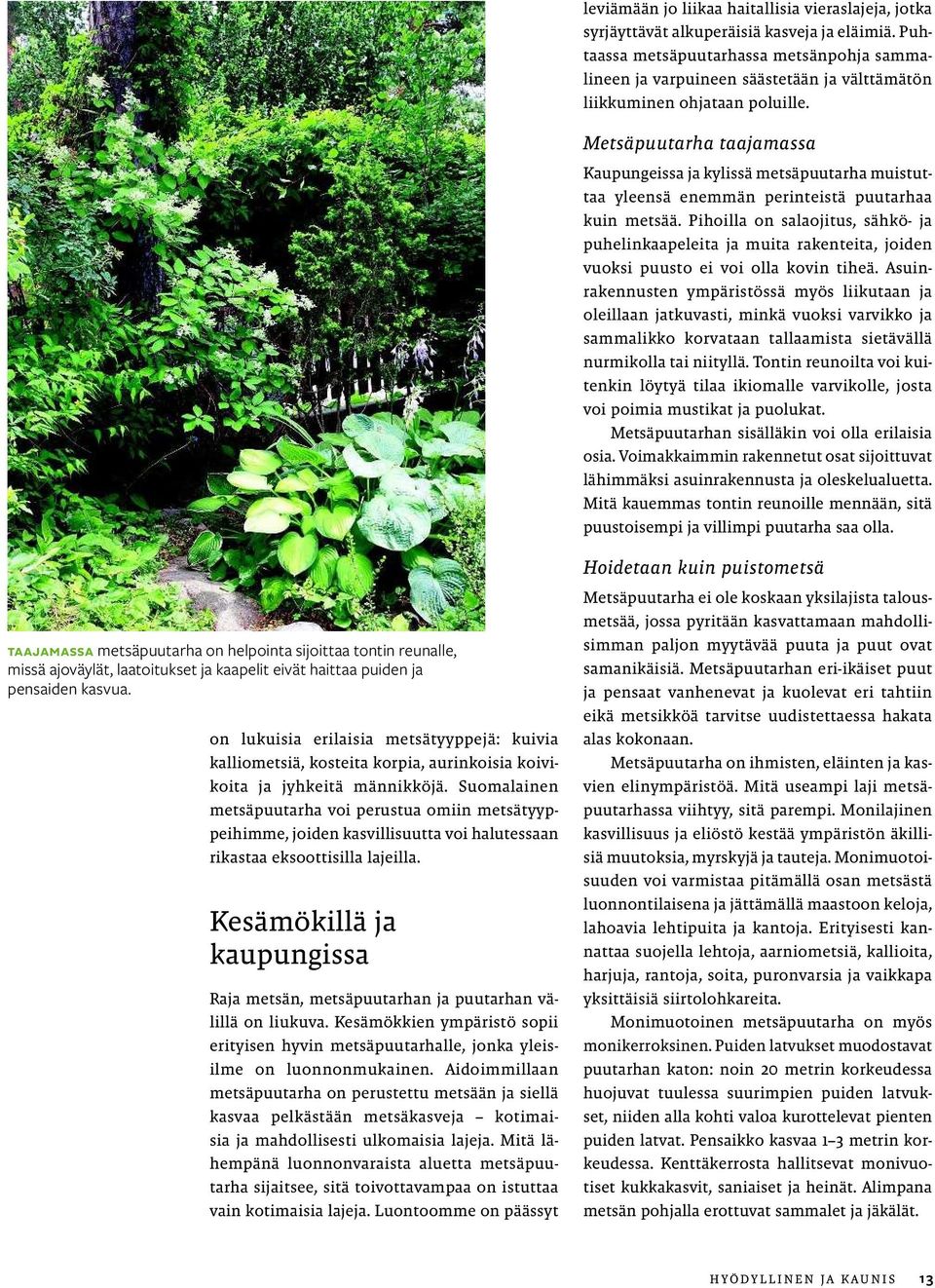 Metsäpuutarha taajamassa Kaupungeissa ja kylissä metsäpuutarha muistuttaa yleensä enemmän perinteistä puutarhaa kuin metsää.