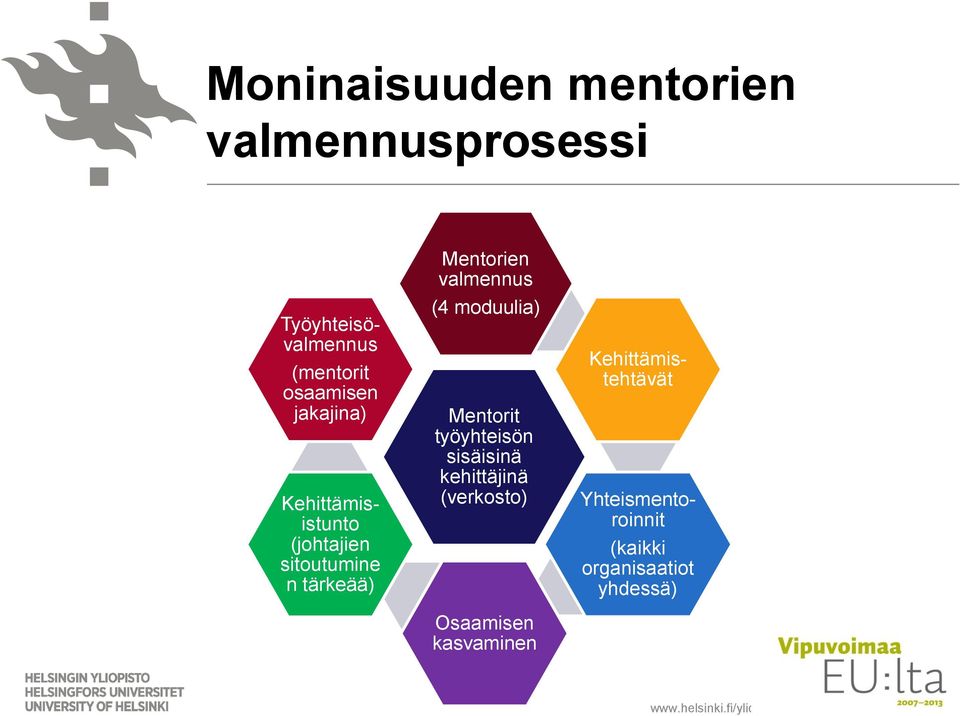 Mentorien valmennus (4 moduulia) Mentorit työyhteisön sisäisinä kehittäjinä (verkosto)