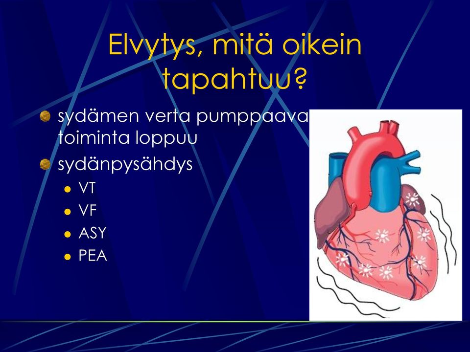 sydämen verta pumppaava