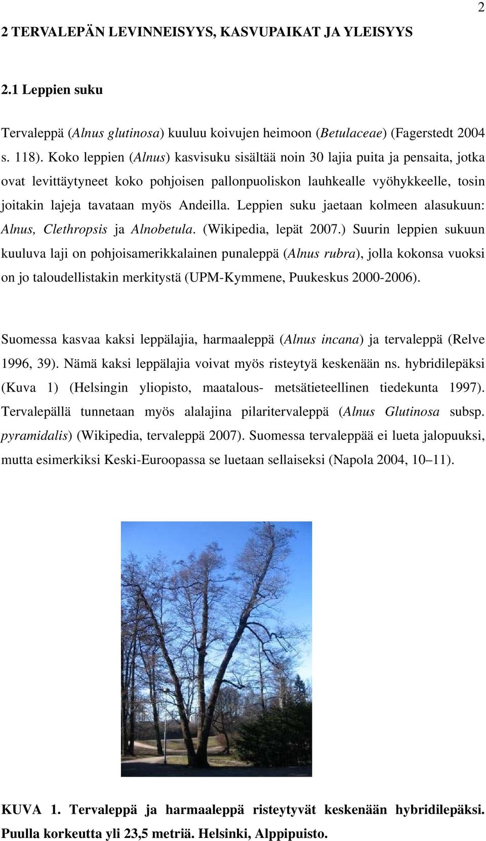 Leppien suku jaetaan kolmeen alasukuun: Alnus, Clethropsis ja Alnobetula. (Wikipedia, lepät 2007.