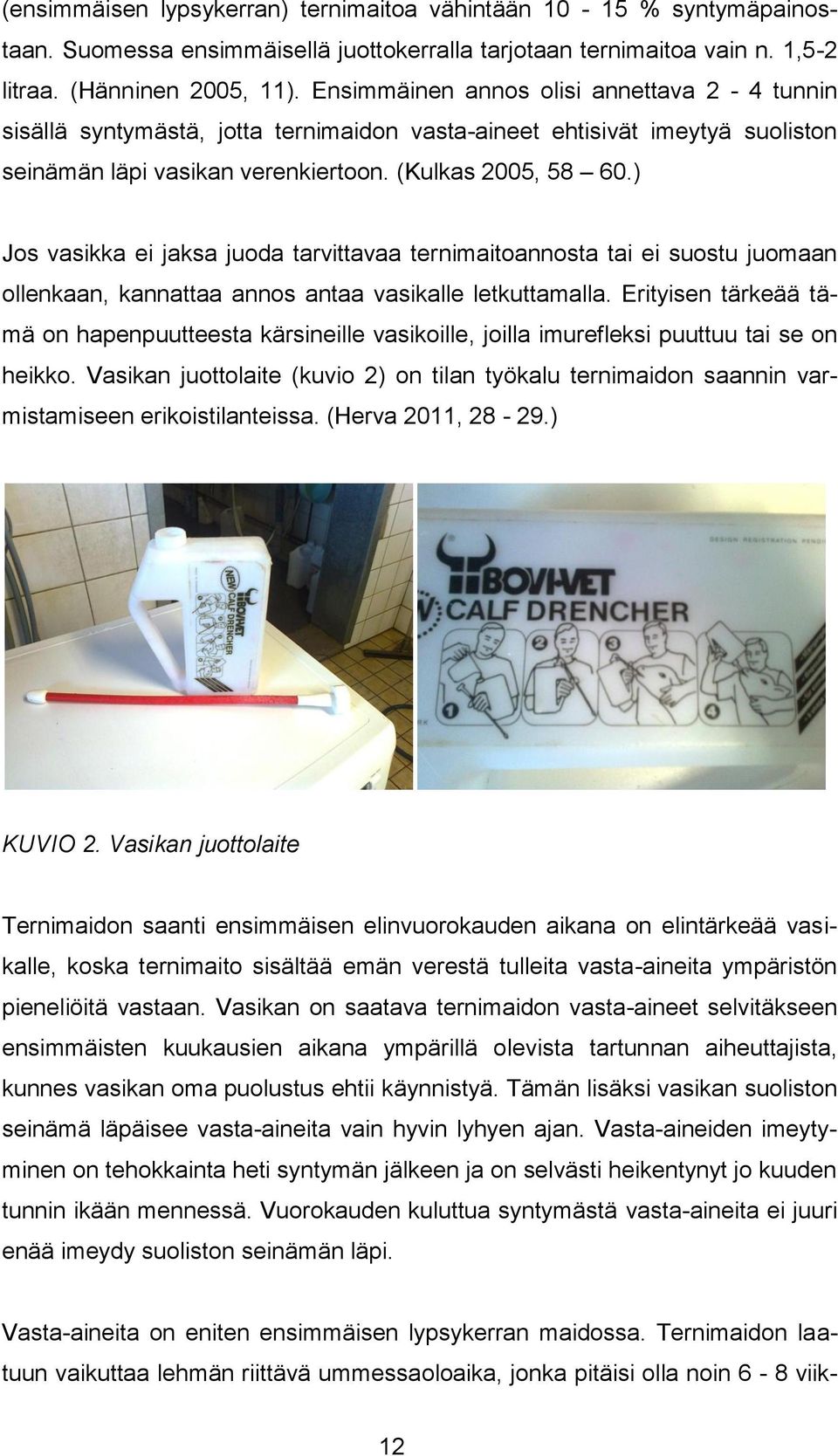 ) Jos vasikka ei jaksa juoda tarvittavaa ternimaitoannosta tai ei suostu juomaan ollenkaan, kannattaa annos antaa vasikalle letkuttamalla.