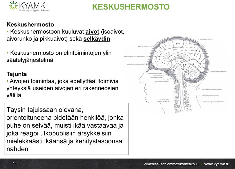 yhteyksiä useiden aivojen eri rakenneosien välillä Täysin tajuissaan olevana, orientoituneena pidetään henkilöä, jonka