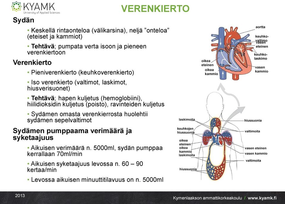 kuljetus (poisto), ravinteiden kuljetus Sydämen omasta verenkierrosta huolehtii sydämen sepelvaltimot Sydämen pumppaama verimäärä ja syketaajuus