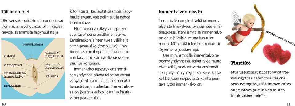 Emätinaukon jälkeen tulee väliliha ja sitten peräaukko (katso kuva). Emätinaukossa on ihopoimu, joka on immenkalvo. Joiltakin tytöiltä se saattaa puuttua kokonaan.