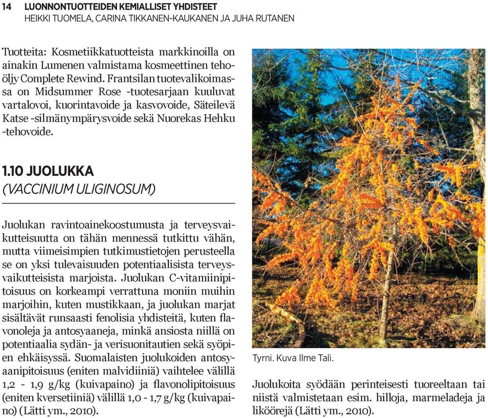 10 JUOLUKKA (VACCINIUM ULIGINOSUM) Juolukan ravintoainekoostumusta ja terveysvaikutteisuutta on tähän mennessä tutkittu vähän, mutta viimeisimpien tutkimustietojen perusteella se on yksi