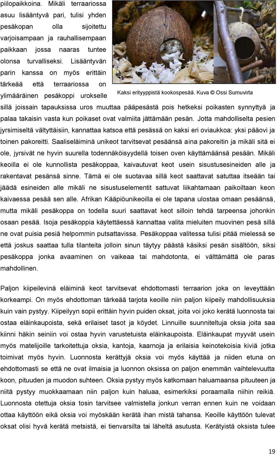 Kuva Ossi Sumuvirta ylimääräinen pesäkoppi urokselle sillä joissain tapauksissa uros muuttaa pääpesästä pois hetkeksi poikasten synnyttyä ja palaa takaisin vasta kun poikaset ovat valmiita jättämään