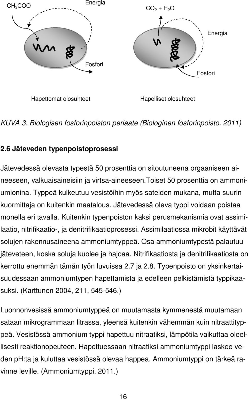 Typpeä kulkeutuu vesistöihin myös sateiden mukana, mutta suurin kuormittaja on kuitenkin maatalous. Jätevedessä oleva typpi voidaan poistaa monella eri tavalla.