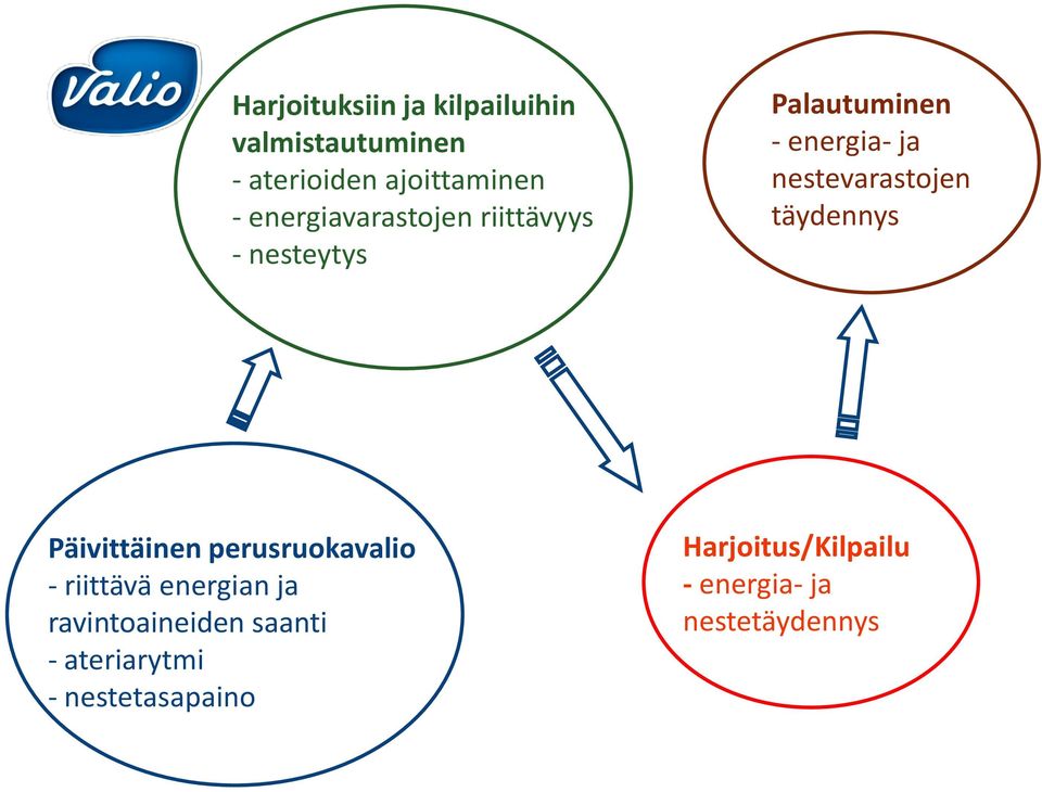 nestevarastojen täydennys Päivittäinen perusruokavalio - riittävä energian ja