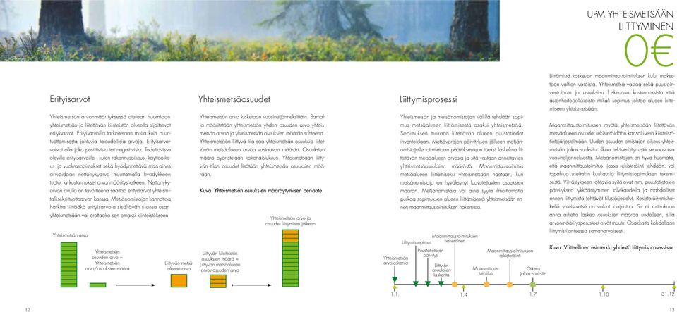 Todettavissa oleville erityisarvoille - kuten rakennusoikeus, käyttöoikeus- ja vuokrasopimukset sekä hyödynnettävä maa-aines arvioidaan nettonykyarvo muuttamalla hyödykkeen tuotot ja kustannukset