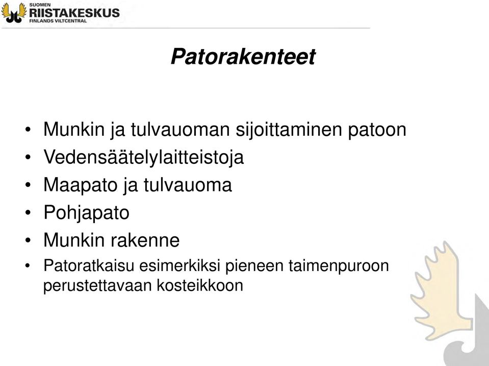 tulvauoma Pohjapato Munkin rakenne Patoratkaisu