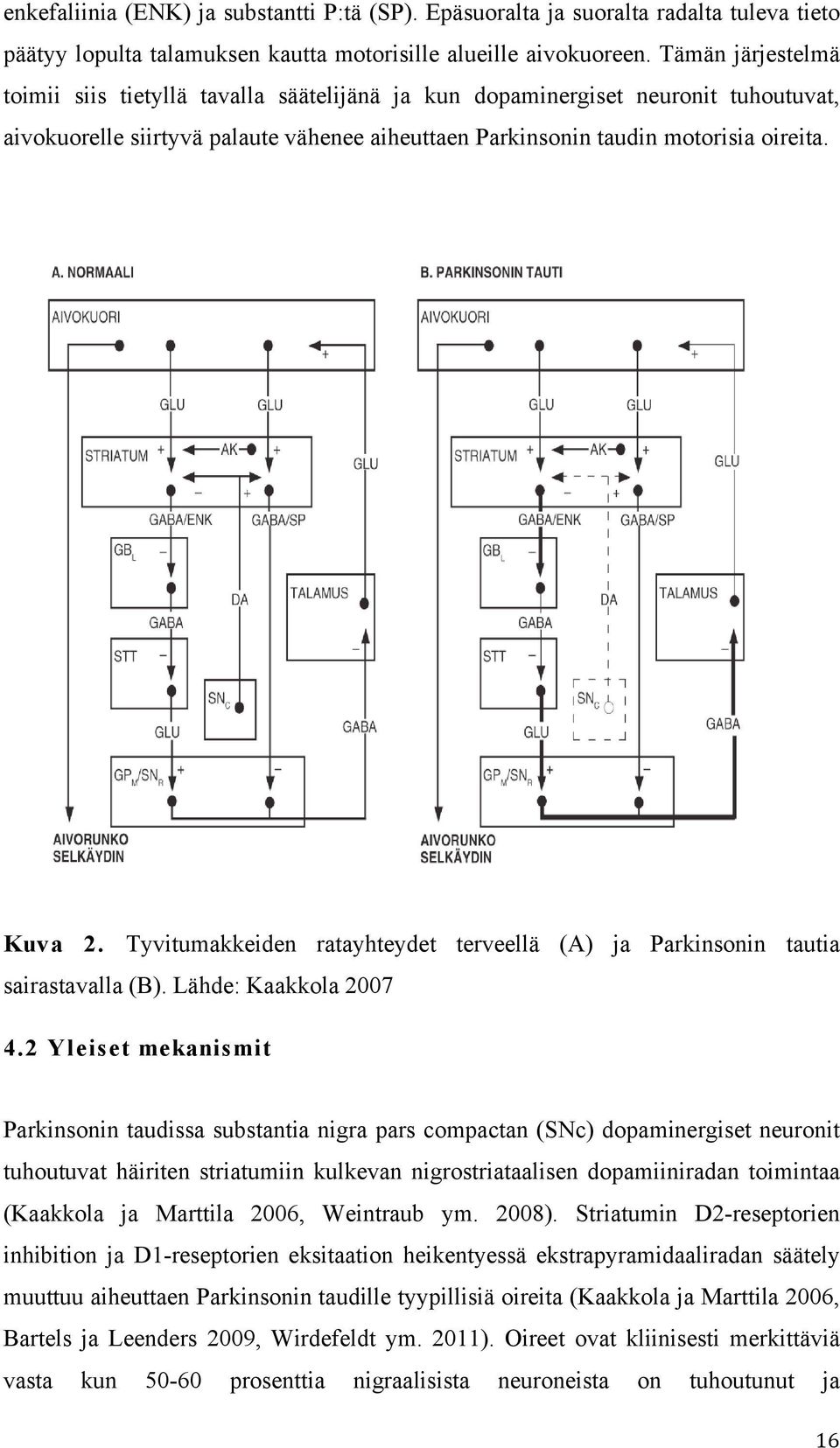 Tyvitumakkeiden ratayhteydet terveellä (A) ja Parkinsonin tautia sairastavalla (B). Lähde: Kaakkola 2007 4.