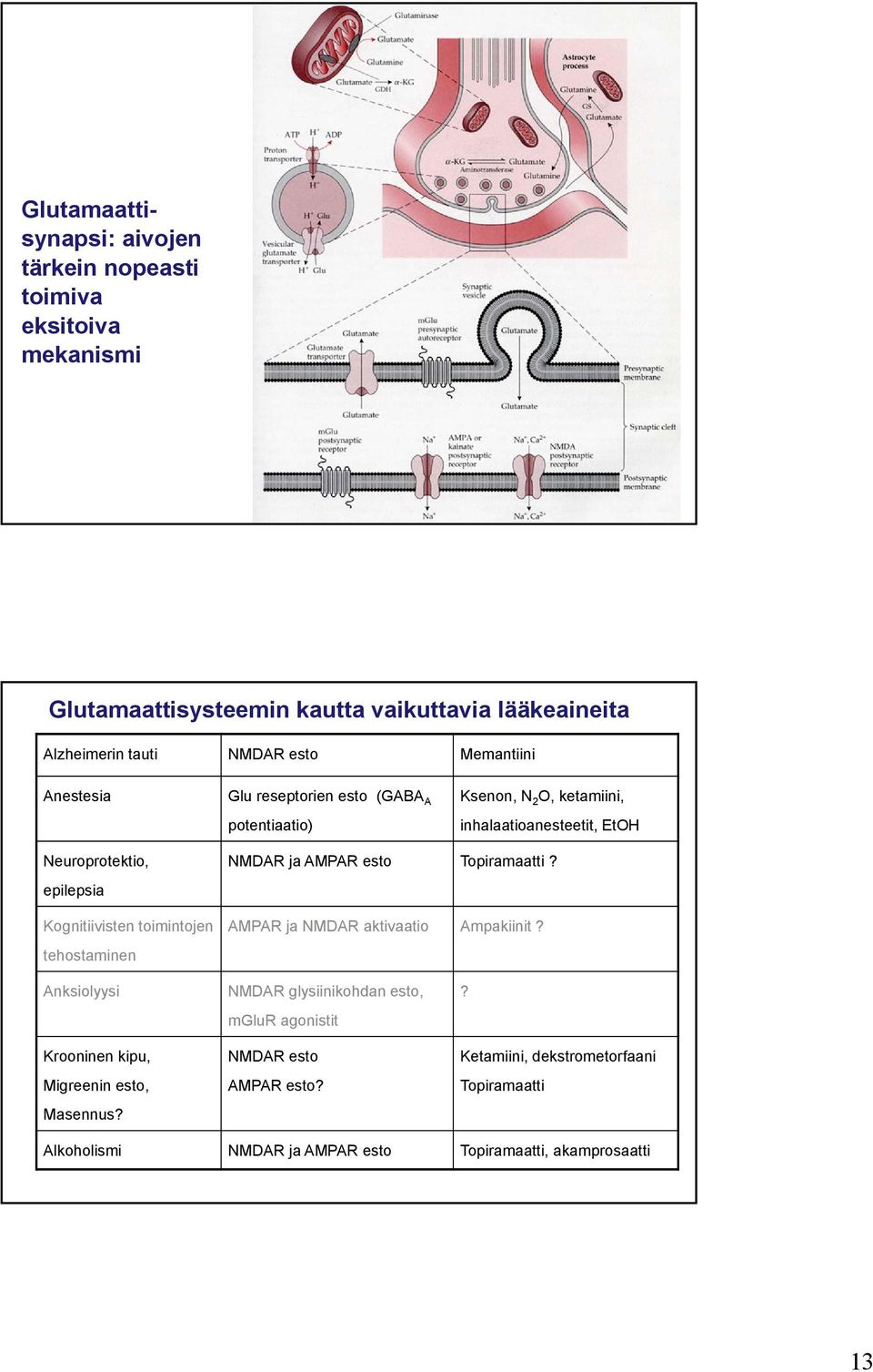 toimintojen tehostaminen NMDAR ja AMPAR esto Topiramaatti? AMPAR ja NMDAR aktivaatio Ampakiinit? Anksiolyysi Krooninen kipu, Migreenin esto, Masennus?